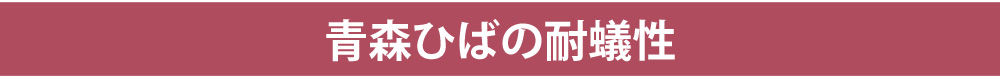 青森ひばの耐蟻性