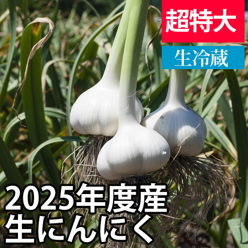 2025年産生にんにく（新にんにく） 【超特大サイズ】【予約商品・数量限定】