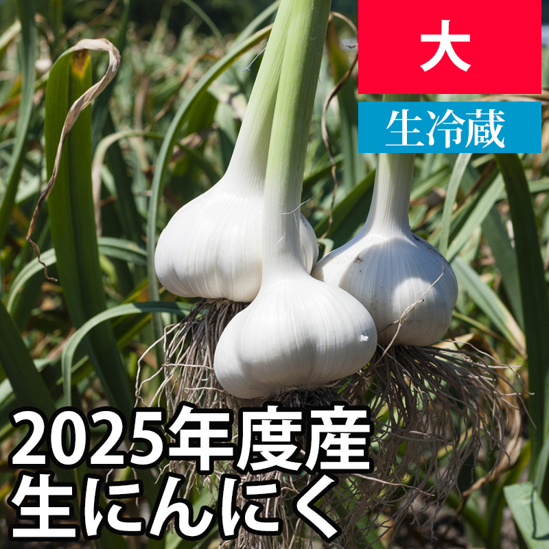 2025年産生にんにく（新にんにく） 【大サイズ】【予約商品・数量限定】