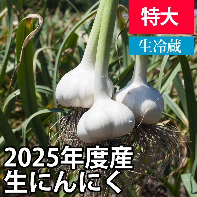 2025年産生にんにく（新にんにく)【特大サイズ】【予約商品・数量限定】