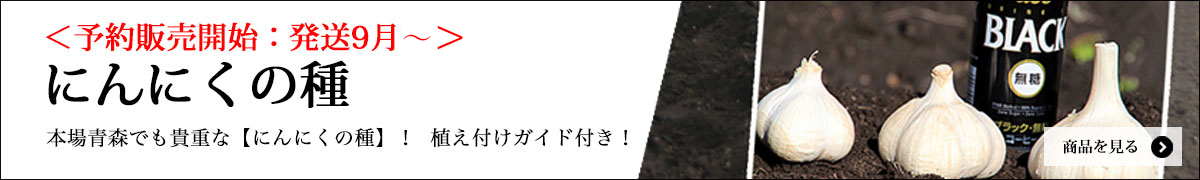 にんにく種