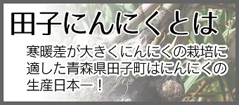 田子にんにくとは 寒暖差が大きくにんにくの栽培に適した青森県田子市はにんにくの生産日本一！